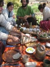 Subsidized Sustainable Food Tour in Israel in November