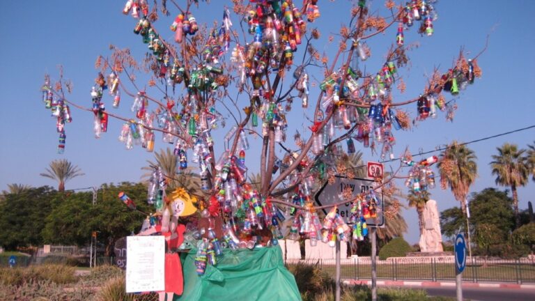 "Hope Tree" of Bottles for the Sea of Galilee