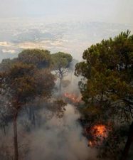 UNESCO Conference in Lebanon Stresses Media's Role in Environmental Change