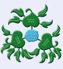 Lifesource: Working for Water Justice in Israel and Palestine