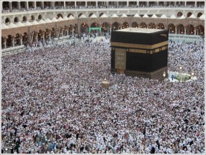 Swine Flu Finds Hajj 2009