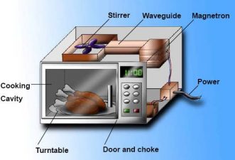 Are Microwave Ovens Health Hazards?
