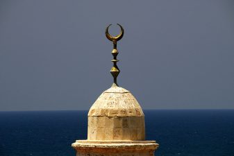 Chicago Muslims Launch Green Ramadan