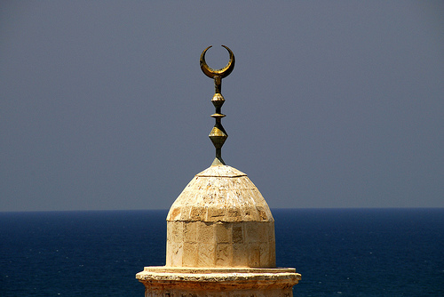 Muslims Adopt A 7-Year Plan As Part of Islam's Green Agenda