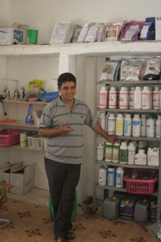 Palestinian Farmers Look to Export Fair Trade Grapes