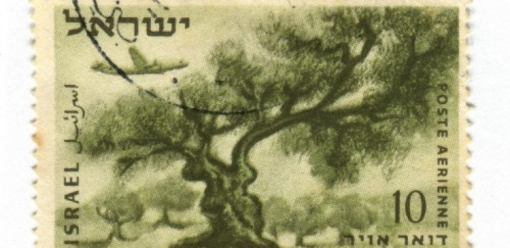 olive-tree-stamp-israel-500x318.jpg