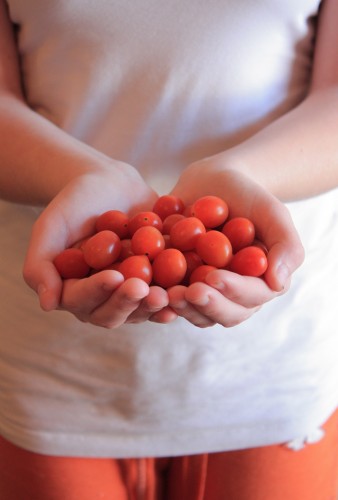 The Organic Food Debate Rages On