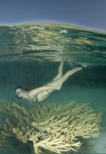 The Politics of Water: Study It Dead or Red