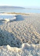 Israel Chemicals Harvests the Good of the Earth