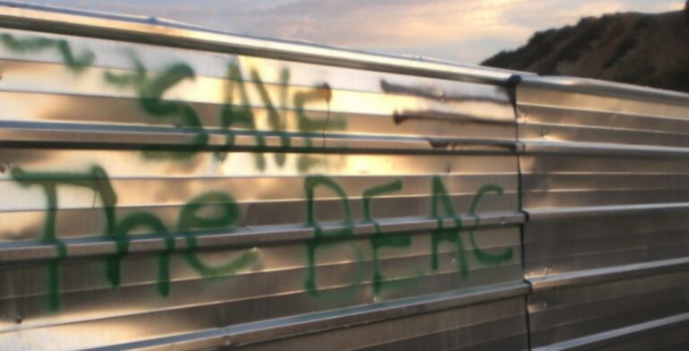 The Battle for Israel's Palmachim Beach