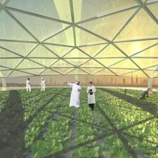 Futuristic Dubai Vertical Farm Uses Seawater to Sustain Crops