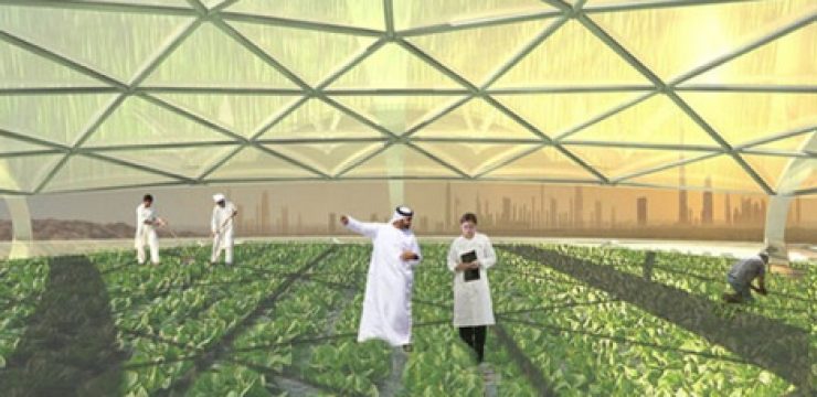 seawater-interior-dubai-vertical-farm1.jpg