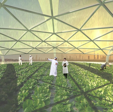 seawater-interior-dubai-vertical-farm1