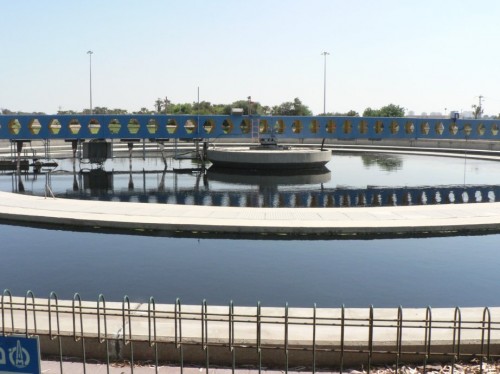 Solutions to Sewage Sludge – energy and wetlands