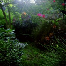 Eco-Chic: The Great Green Prophet Giveaway!