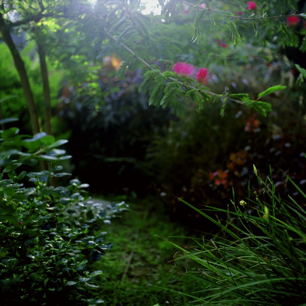 Eco-Chic: The Great Green Prophet Giveaway!