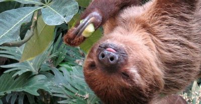 Slow Down, You Eat Too Fast (All About the Slow Food Movement)