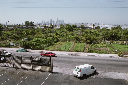 Documenting the Demise of America's Largest Community Garden