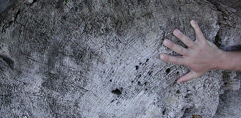 Hey planet, how will spaceship earth remember you?