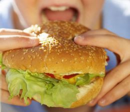 Buddha Burger’s vegan meat for Tel Aviv