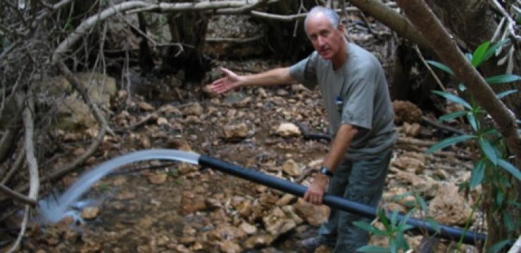 water-israel-streams-photo.jpg