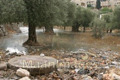 Palestinians Repair Crumbling Infrastructure to Weather Water Crisis