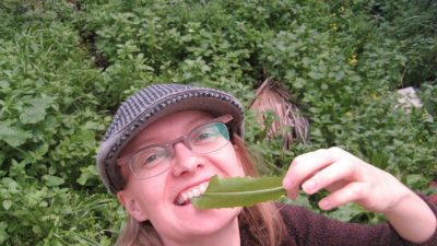 Find edible weeds in your garden