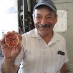 Green Prophet's Top 10 Middle East Environment News Stories of 2009