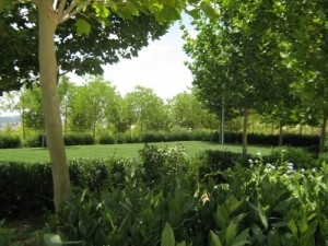 Green Prophet at Interfaith Gathering in Amman – and a Green Oasis