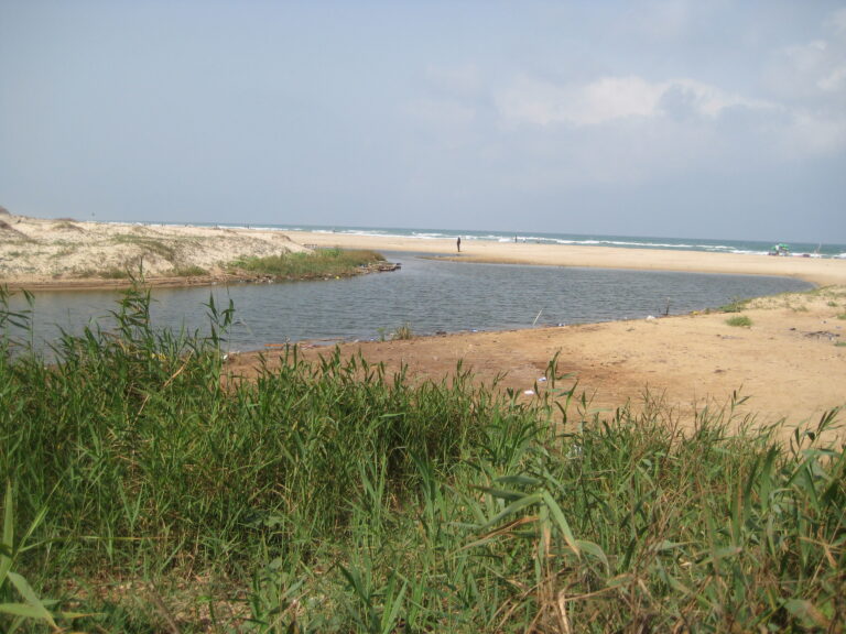 Pollution, Nature Reserve and Sea Turtle Estuary All in One (The Poleg Stream)