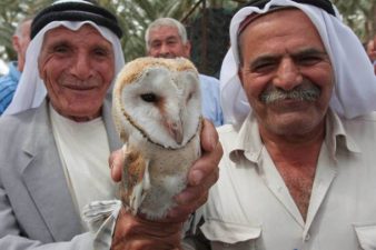 Owls Unite Arab Farmers in Palestine, Israel and Jordan