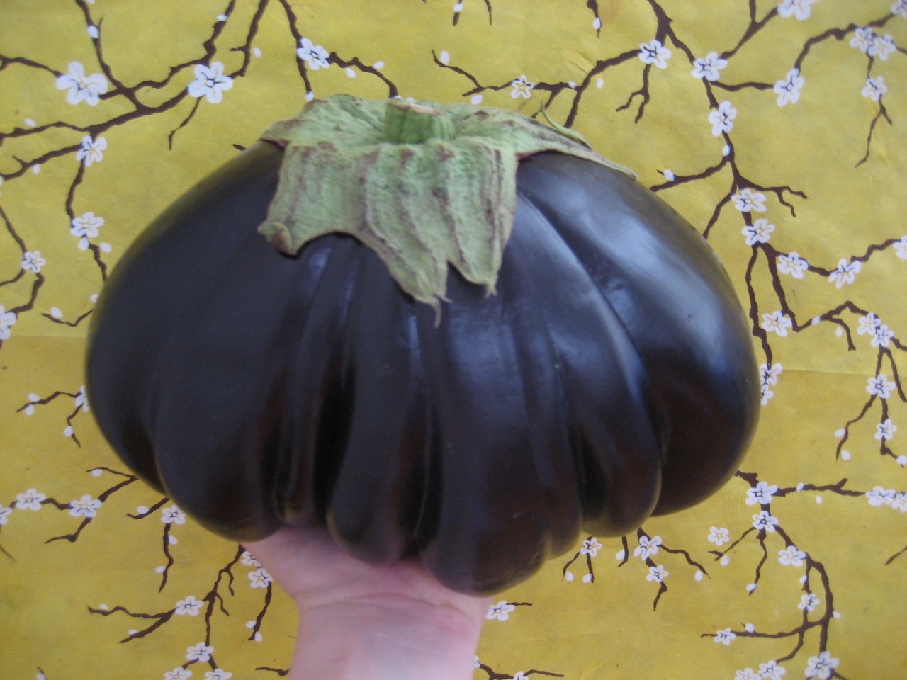 eggplant for bab ghanoush