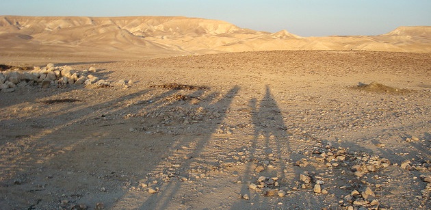 Israel’s Bedouin Want Their Rightful Share of the Sun