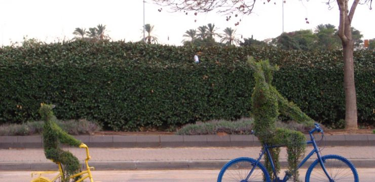 bike-sculpture-israel-living-tree.jpg