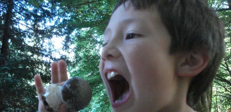 boy-eat-mushroom-forest.jpg