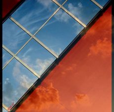 Turkey Helps Syria Revive Thoth –  The Northern Bald Ibis