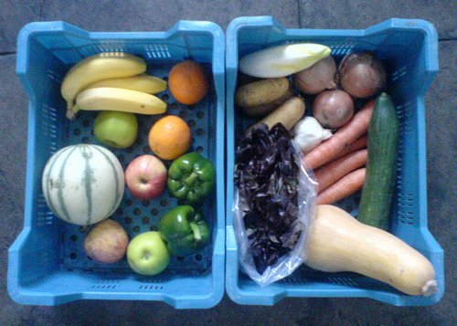 organic food box