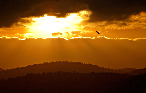 Environmental Activism… in a friendly way