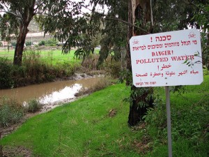 The Kishon River: Polluted No More?
