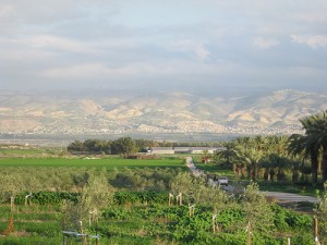 Have an Organic Experience at Kibbutz Sde Eliyahu’s Bio-Tours