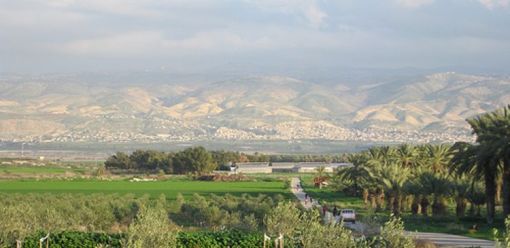 organic-kibbutz-sde-eliyahu.jpg