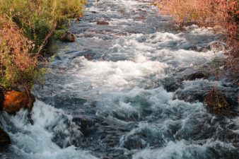 Clean Rivers and 8 Israel-Related Headlines, Week of June 8, 2010