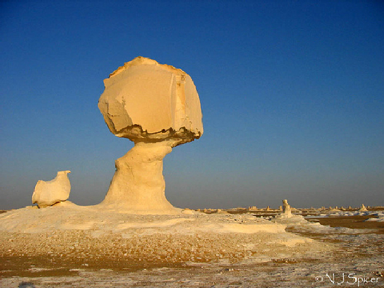 white-desert-egypt Oasis 
