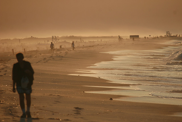 Abu Dhabi Should Opt for Solar Not Nuclear for Future Needs