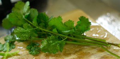 Fresh Tomato-Coriander Salad to Spice up Your Summer