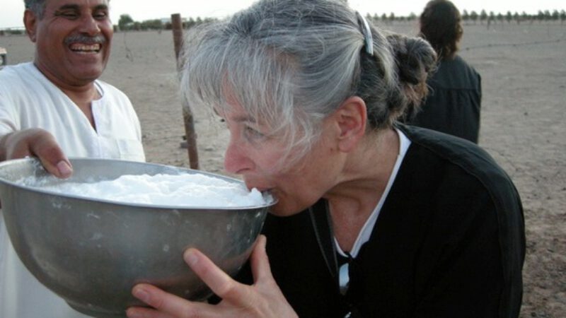 Six “Green” Reasons To Drink Camel’s Milk