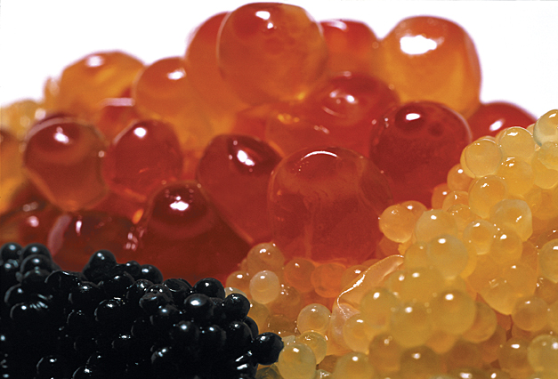 5 Countries To Save the Caspian Sea’s Caviar