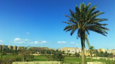 “Eco Options Egypt” Makes Egyptian Environmentalism Easy and Accessible