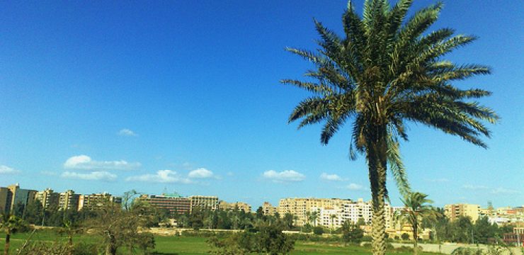 green-lifestyle-cairo-egypt.jpg