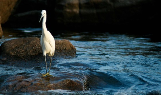 hodabarka hoda-baraka-journalist